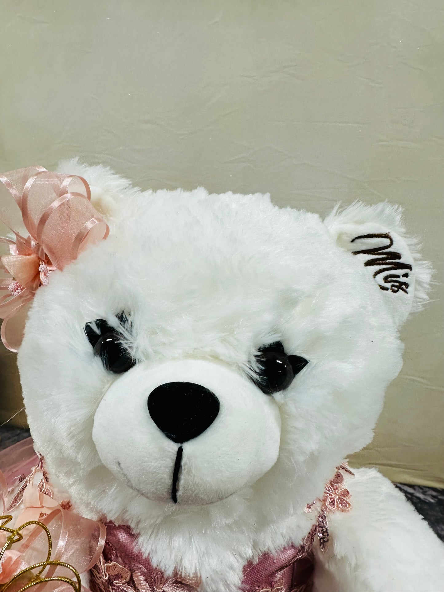 Teddy bear