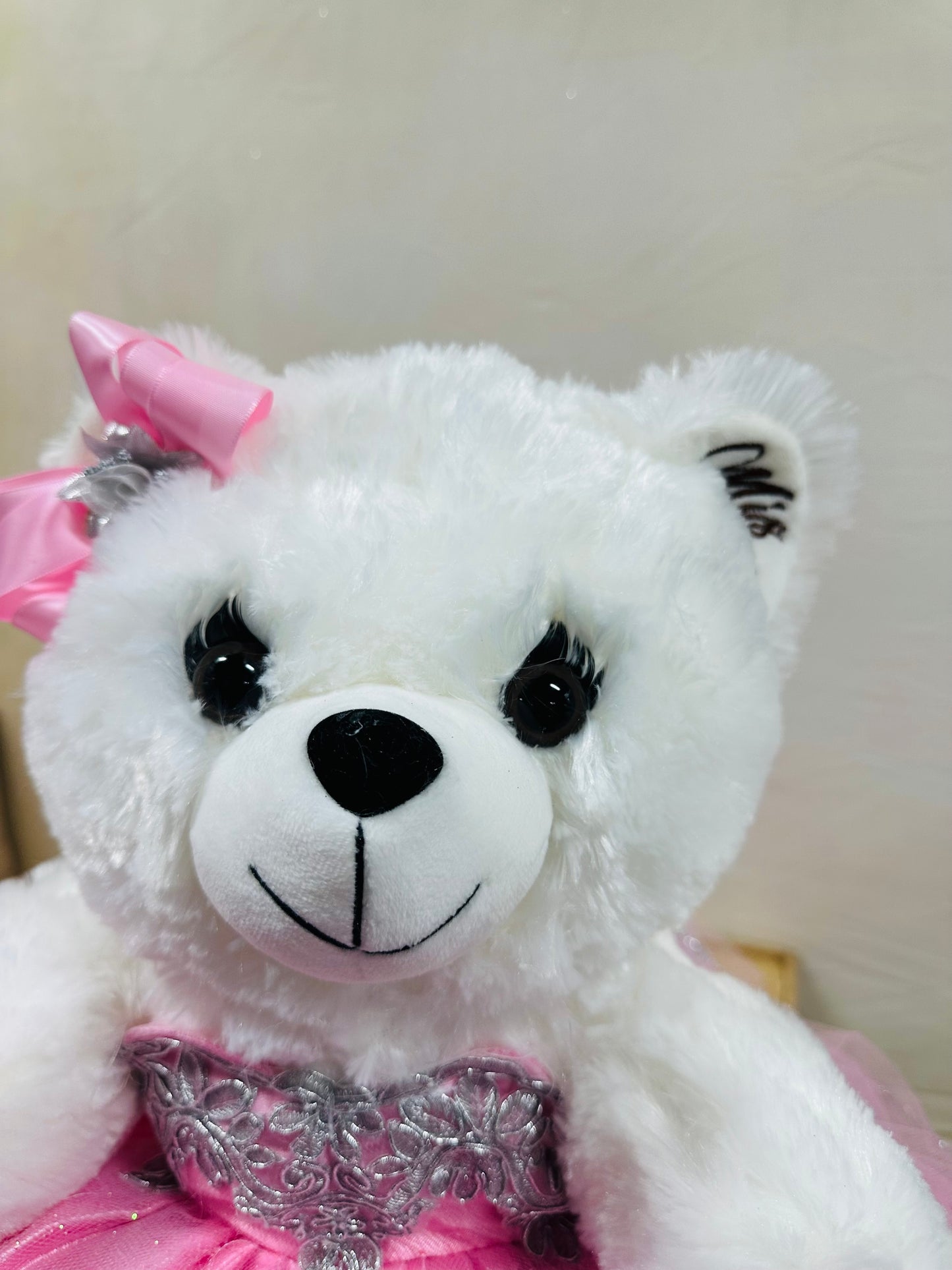 Teddy bear