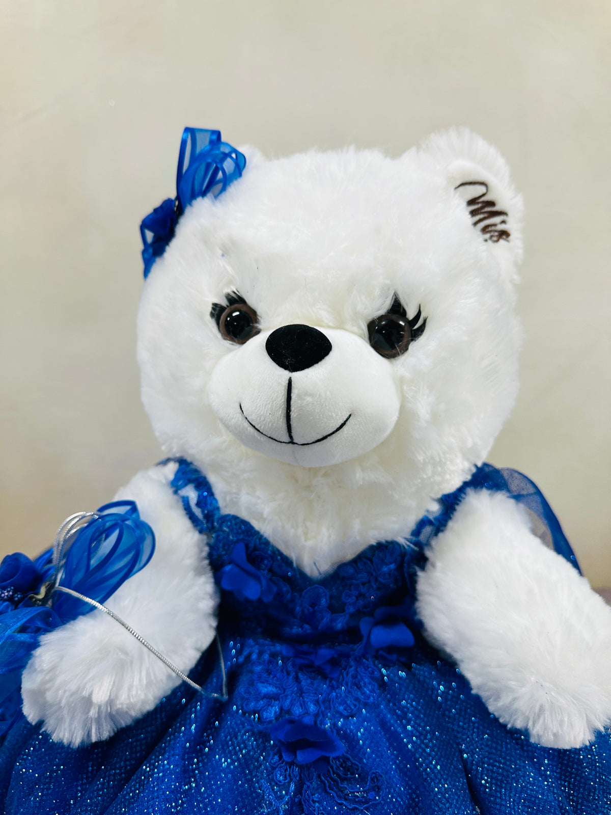 Teddy bear