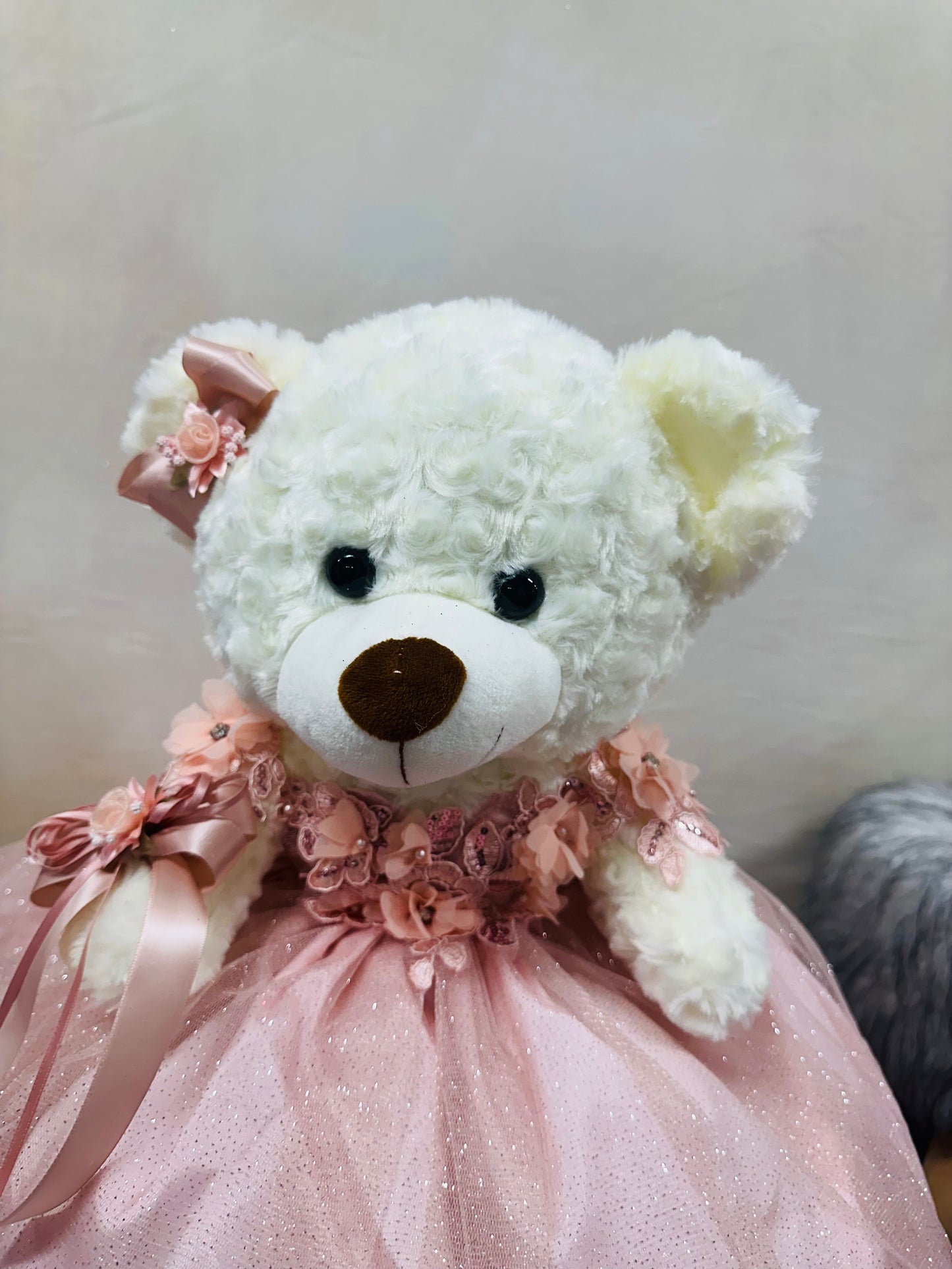 Teddy Bear